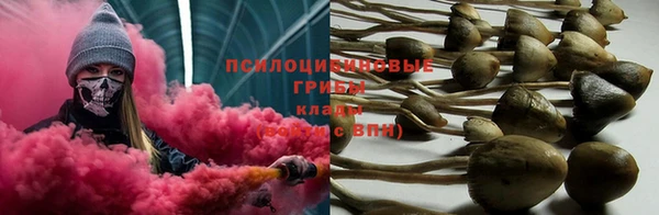 индика Абинск