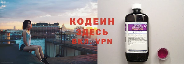индика Абинск