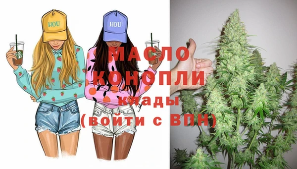 индика Абинск