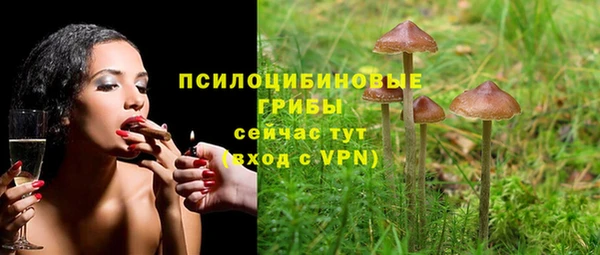 индика Абинск